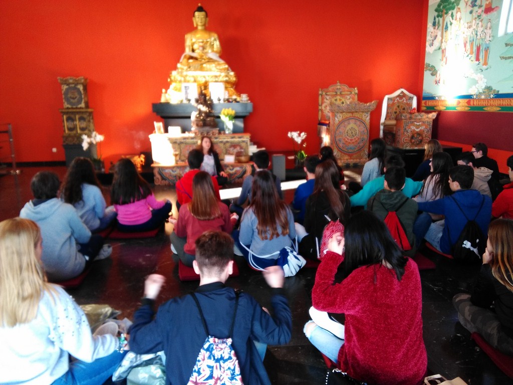 IMG 20180220 165838 (Copy)